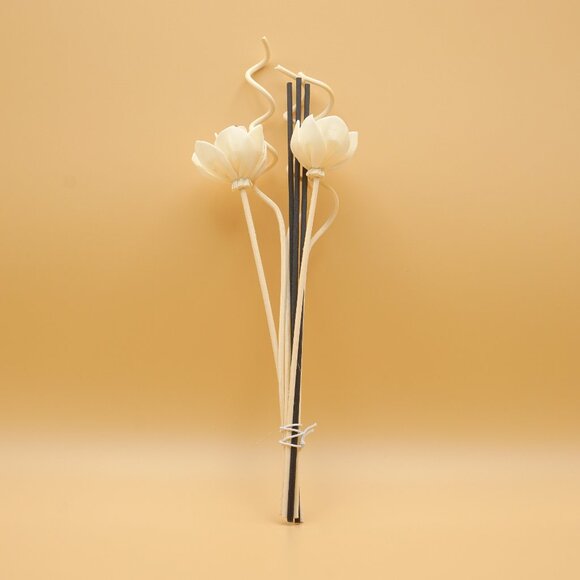 Citron Olive | Long Lasting 6-9 Months+ | Reed Diffuser - Picture 4 of 4